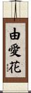 由愛花 Scroll