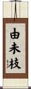 由未枝 Scroll