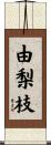 由梨枝 Scroll