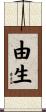 由生 Scroll