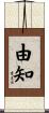 由知 Scroll