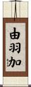 由羽加 Scroll