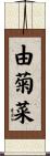 由菊菜 Scroll