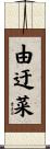 由迂菜 Scroll