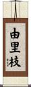 由里枝 Scroll