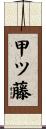 甲ツ藤 Scroll