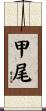 甲尾 Scroll