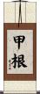甲根 Scroll