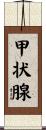 甲状腺 Scroll