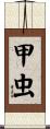 甲虫 Scroll
