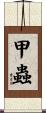 甲蟲 Scroll