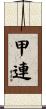 甲連 Scroll