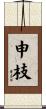 申枝 Scroll