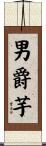 男爵芋 Scroll