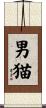 男猫 Scroll