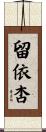 留依杏 Scroll