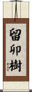 留卯樹 Scroll