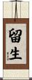 留生 Scroll