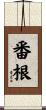 番根 Scroll