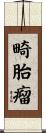 畸胎瘤 Scroll