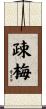 疎梅 Scroll