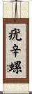 疣辛螺 Scroll