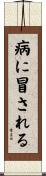 病に冒される Scroll