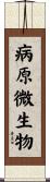 病原微生物 Scroll