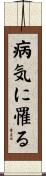 病気に罹る Scroll