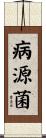 病源菌 Scroll
