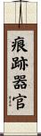 痕跡器官 Scroll