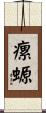 瘰螈 Scroll