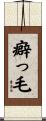 癖っ毛 Scroll