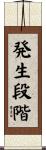 発生段階 Scroll