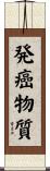 発癌物質 Scroll