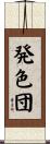 発色団 Scroll