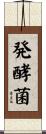 発酵菌 Scroll