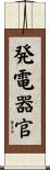 発電器官 Scroll