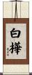白樺 Scroll