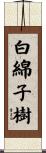 白綿子樹 Scroll
