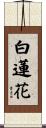 白蓮花 Scroll
