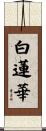 白蓮華 Scroll