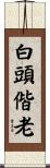 The White Hairs of Old Age Scroll