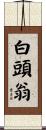白頭翁 Scroll