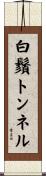 白鬚トンネル Scroll