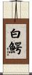 白鰐 Scroll