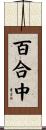 百合中 Scroll