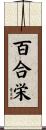 百合栄 Scroll