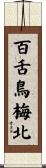 百舌鳥梅北 Scroll
