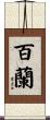百蘭 Scroll